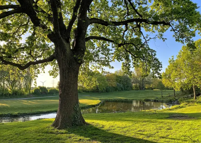 Unterwegs in Parks und Feldern  | Foto: copyright Margot Klütsch