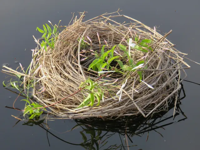 Foto: Foto: hanneke-maassen-4MS2B8VcpXM-unsplash-2