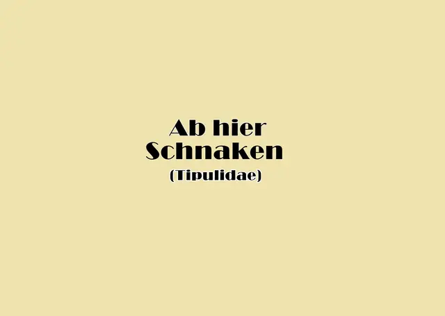 Foto: GvMeegen