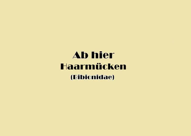 Foto: GvMeegen