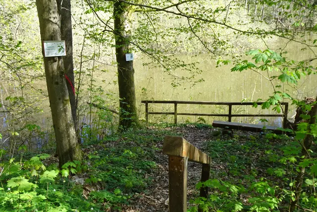Fischteich im Limbachtal