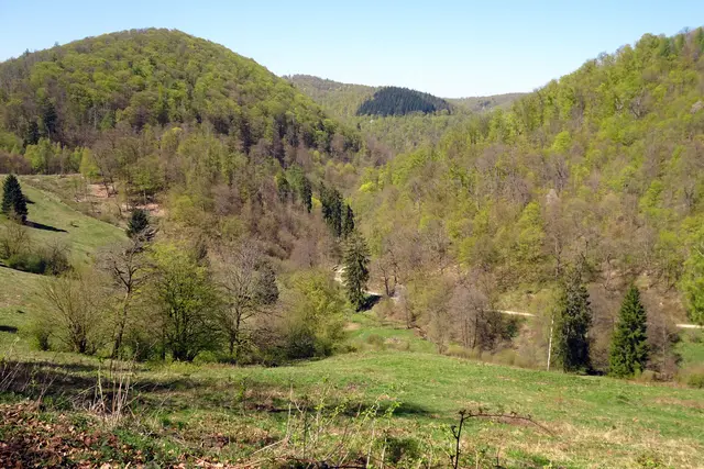 Blick in das Hundertmorgental 