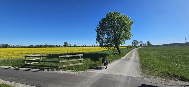Foto: (c) Wolfgang Weiss