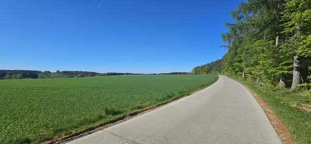 Foto: (c) Wolfgang Weiss