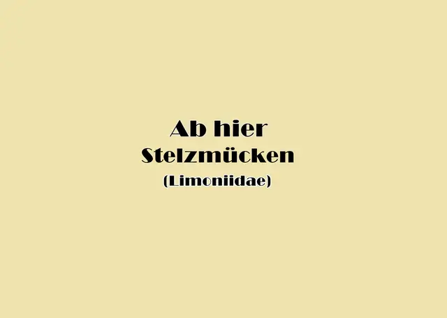 Foto: GvMeegen