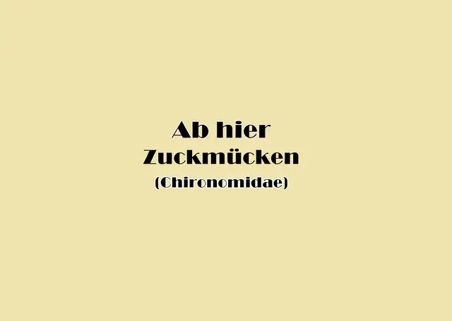 Foto: GvMeegen