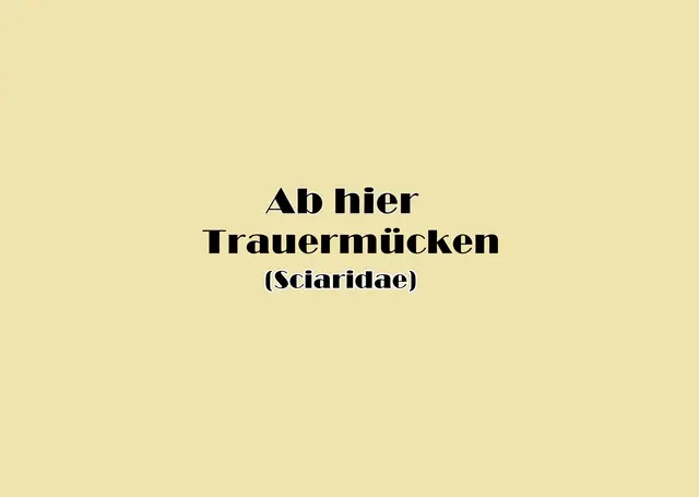 Foto: GvMeegen