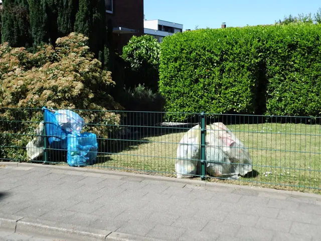 Gelbe Säcke und blaue Plastiktüten an Gartenzaun in Wesel
Sachstand: Feiertag 1. Mai 2026 | Foto: Siegmund Walter, 01.05.2026, 14:07 Uhr