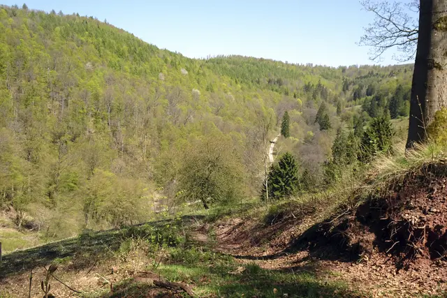 Blick ins Hundertmorgental von der Stiefmutter Hütte