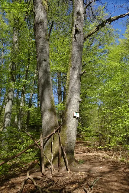 Zweiländereiche 