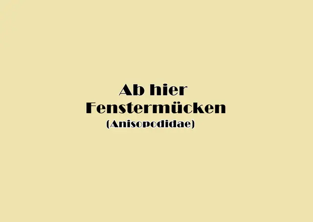 Foto: GvMeegen