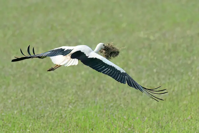 Foto: Copyright Andreas Schäfer