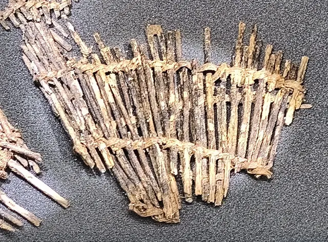 älteste stationäre Reuse, Mortala, Schweden
Zander, Barsch, Lachs und Hecht Überreste
5750 - 5550 v. Chr., Holz
