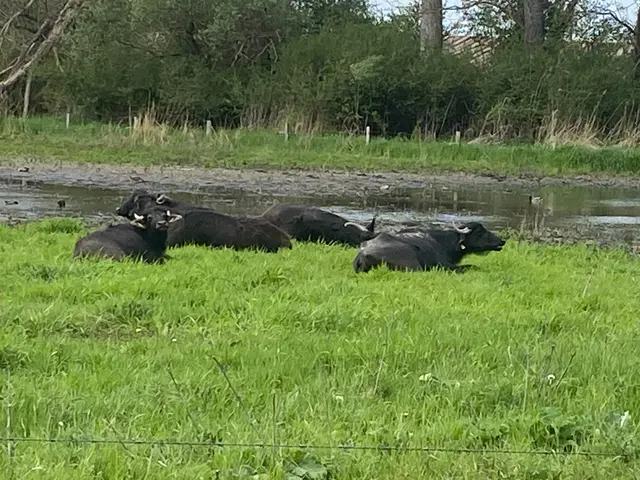 Im Frühling 26 Grad Celsius