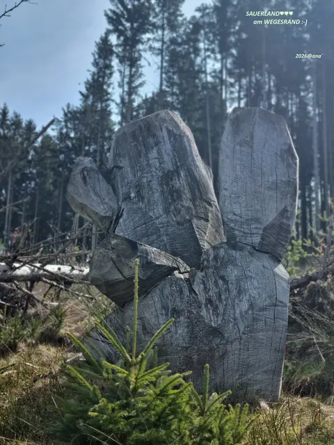 Ungewöhnliches, Interessantes ... am Wegesrand ...