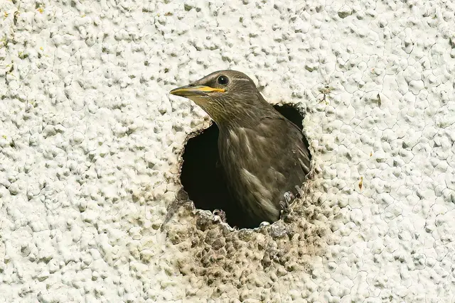 Foto: Copyright Andreas Schäfer