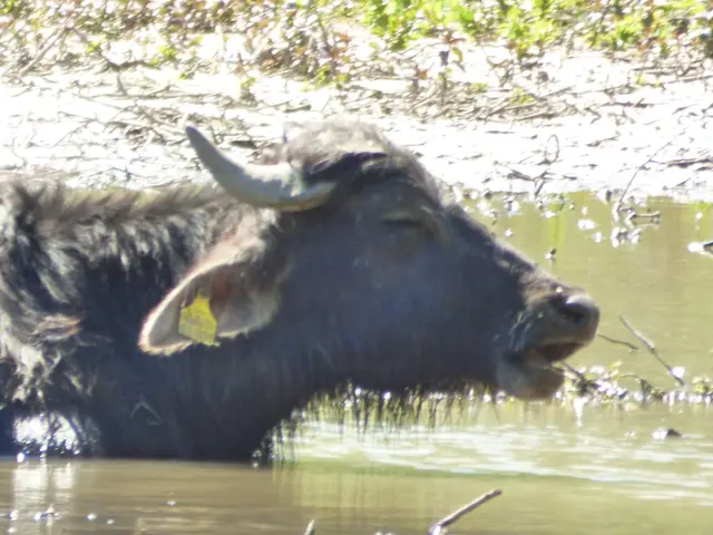 Stimmt die Wassertemperatur?