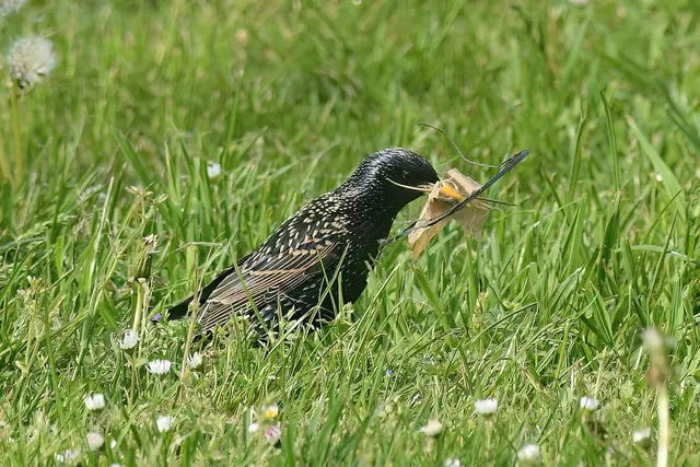 Foto: Copyright Andreas Schäfer