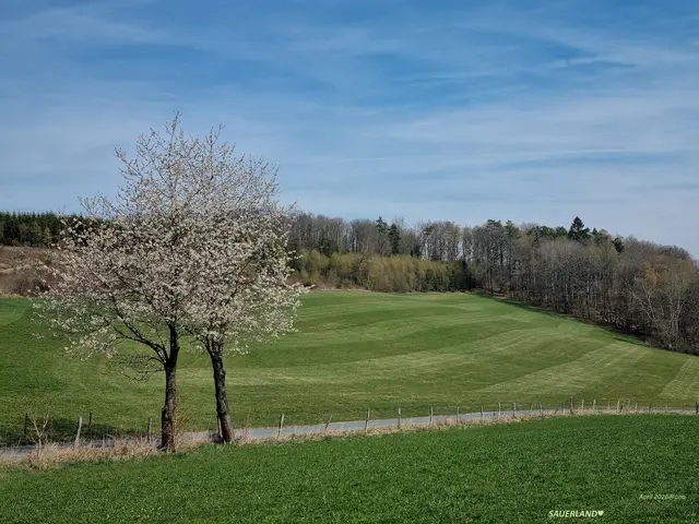 mag BÄUME♥