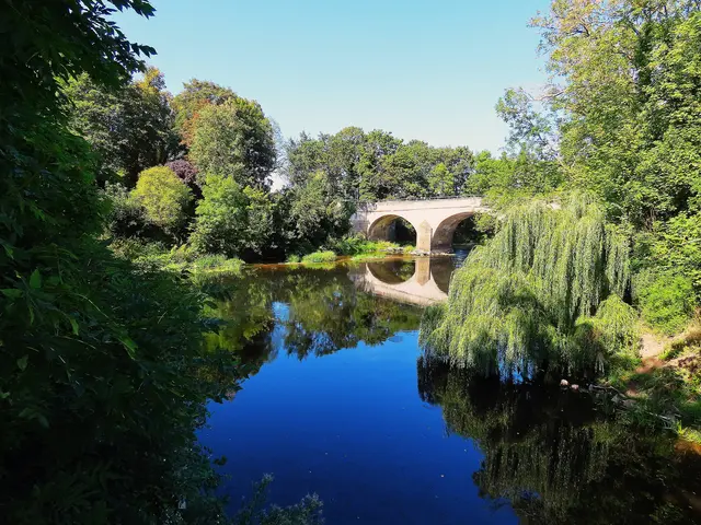 Leine mit Leinebrücke in Schulenburg