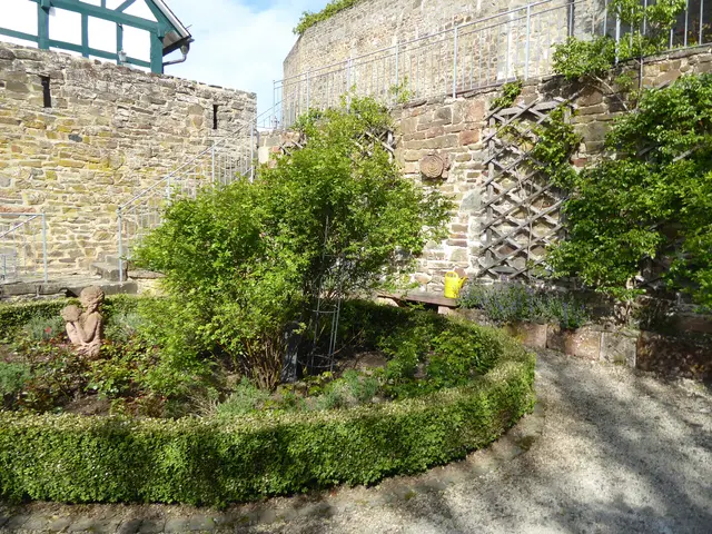 Rosengarten 2026-18, 03.05.2026.
