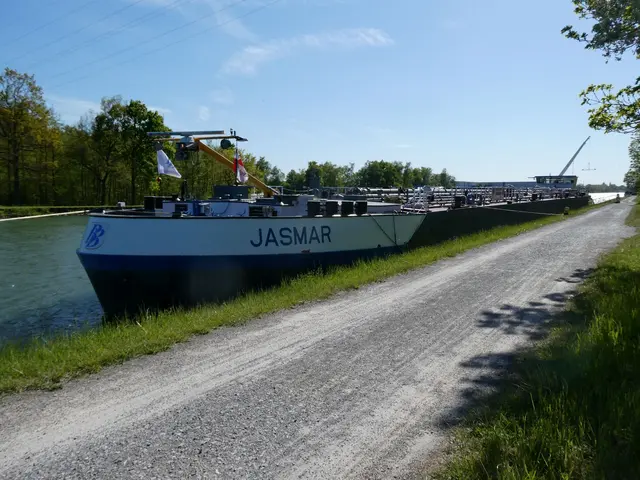 TMS Jasmar