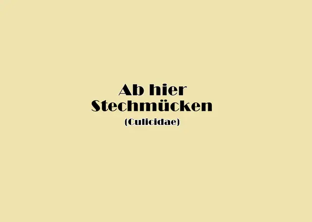 Foto: GvMeegen