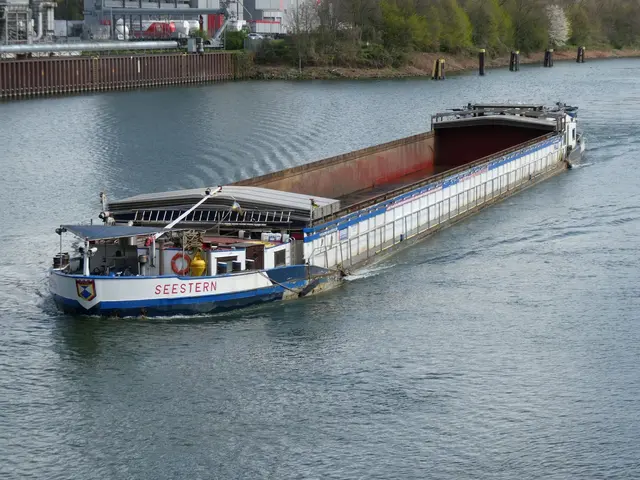 GMS Seestern