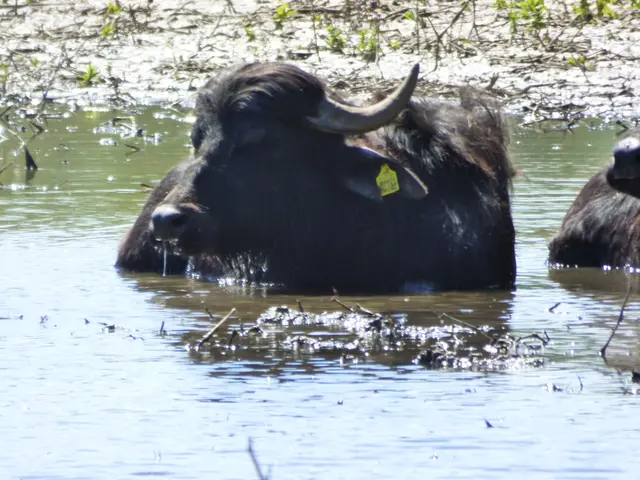 Das meiste Wasser kommt doch vom Klärwerk und schmeckt gut