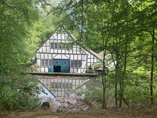 Halbachhammer mit Wasserspeicher