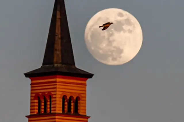 Der aufgehende Mond erhält Besuch.