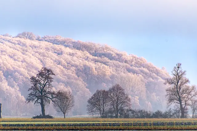 Winter im Wittelsbacher Land. 