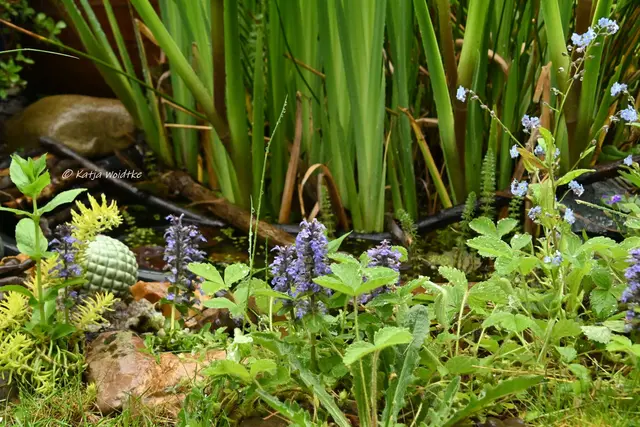 Garten im Mai (Foto: Katja Woidtke)

Teiche sind wichtige Lebensräume im Garten - egal wie groß oder klein

 | Foto: Katja Woidtke