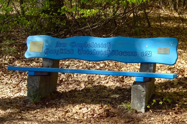 die blaue am Gondelteich