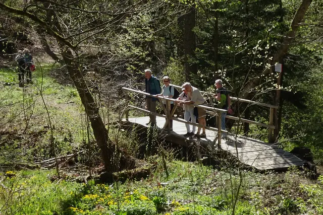 Brücke über den Kleinen Uhlenbach