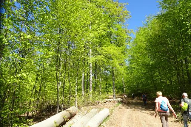auf dem Schlangenweg