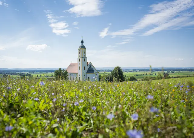 Die Wallfahrtsbasilika Maria Brünnlein gehört zu den bedeutendsten Marienwallfahrtsorten in Süddeutschland. | Foto: Dietmar Denger