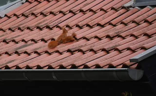 schnell - versteck dich