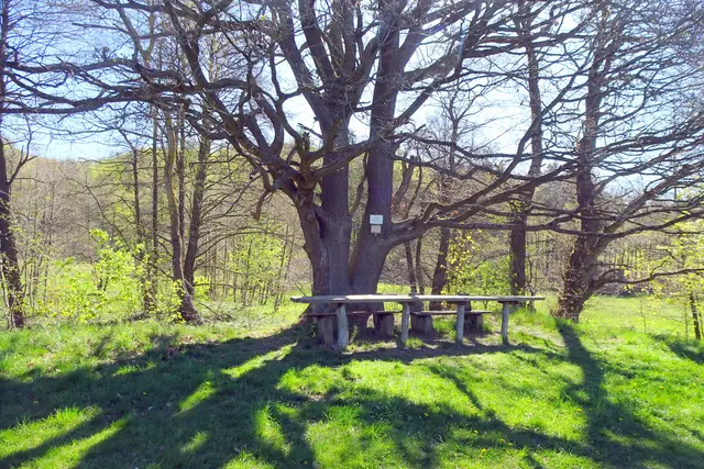 Rastplatz "An den Drei Eichen"