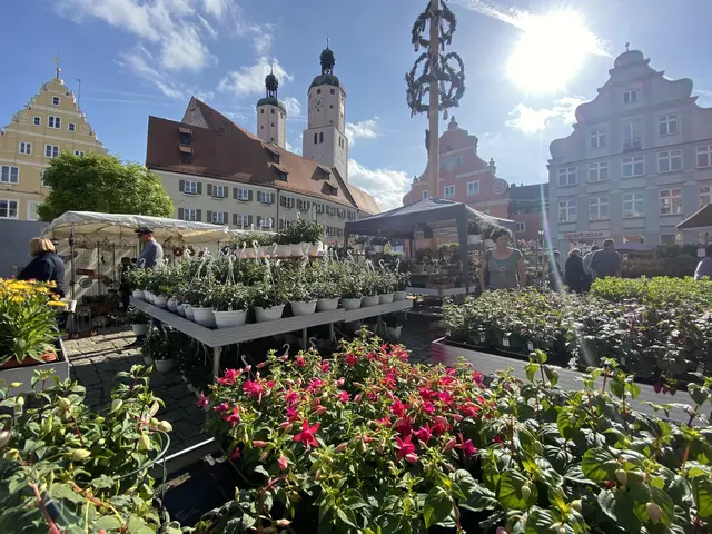 Der Fuchsien- und Kräutermarkt lädt am 30. &amp; 31. Mai 2026 zu einem Bummel ein. | Foto: J. Strohhofer