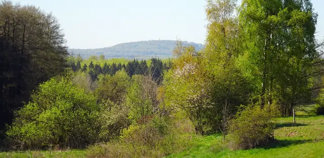 Blick von den Seewiesen auf den Auerberg