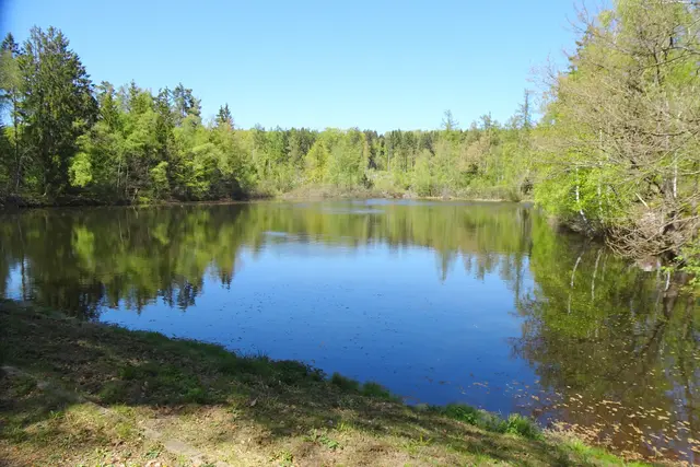 Bergrat - Müller - Teich
