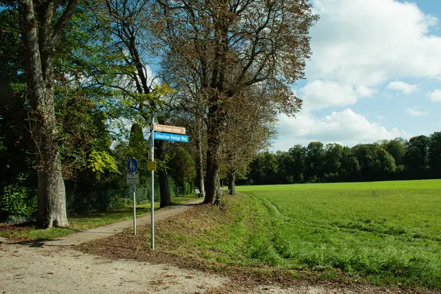 Audamm | Foto: Olivia Käßmeier - Stadt Dillingen