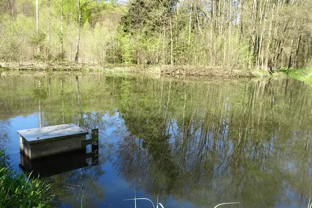 kleiner Stausee des Kleinen Uhlenbaches an den "Drei weißen Birken"