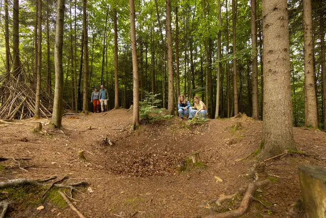 Walderlebnispfad am Grubet: Entdecken Sie Spuren eines ehemaligen Erzabbaugebiets und erfahren Sie an Mitmachstationen Spannendes über den heimischen Wald. | Foto: Heiko Grandel