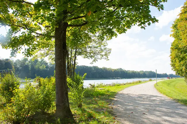Donau | Foto: Olivia Käßmeier - Stadt Dillingen