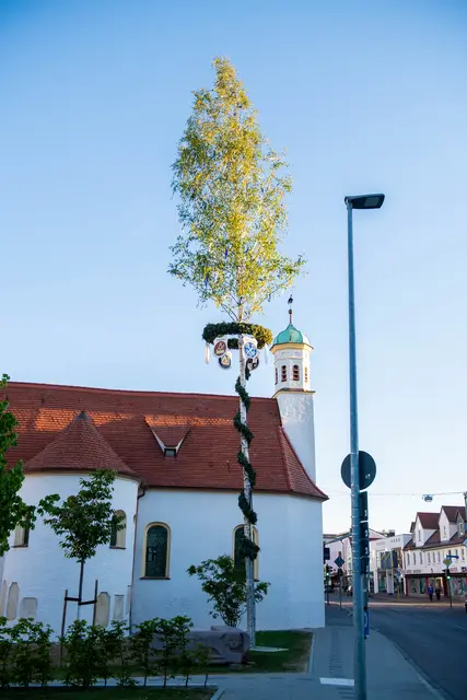 Maibaum in Dillingen  | Foto: Jan Koenen - Stadt Dillingen 