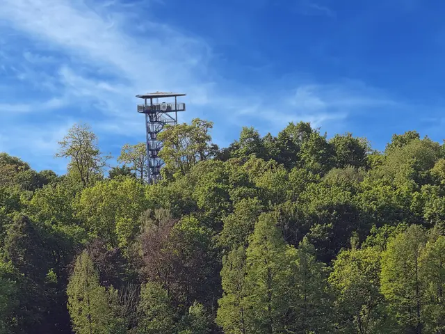 Der 22 Meter hohe Wolfsturm.