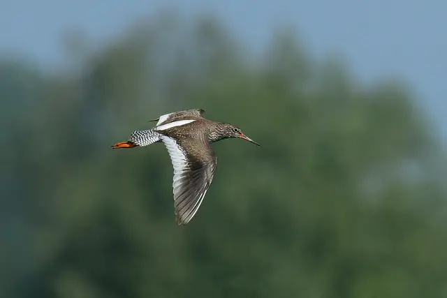 Foto: Copyright Andreas Schäfer