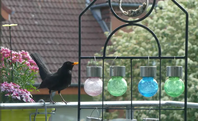 
moin :-)